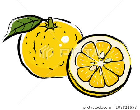 Yuzu illustration_brush writing Yuzu illustration_brush writing 108821658