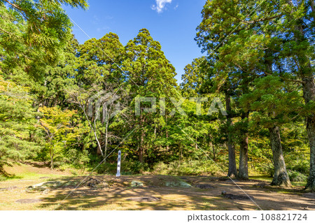 Motsuji Temple auditorium ruins; Heian period Pure Land garden remains that are especially valuable in the history of Japanese gardens; World Heritage Site; National Special Historic Site/Special Place of Scenic Beauty 108821724