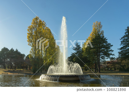 埼玉縣/西之森入間公園的噴泉和秋葉【美軍基地舊址】 埼玉縣/西之森入間公園的噴泉和秋葉【美軍基地舊址】 108821898