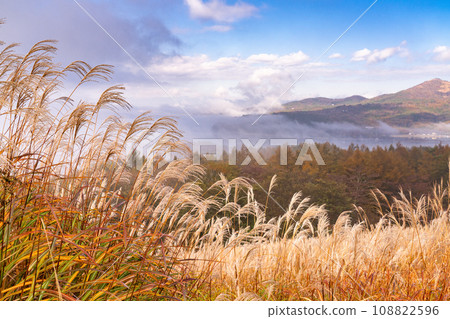 [Yamanashi Prefecture] View of Yamanakako panorama platform with pampas grass and autumn scenery 108822596
