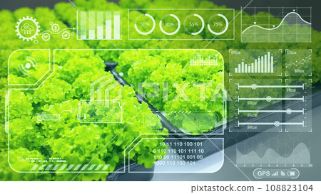 Green salad overlay modern chart graphics HUD for digital computer IOT technology in agriculture farm plant grow analysis concept Green salad overlay modern chart graphics HUD for digital computer IOT technology in agriculture farm plant grow analysis concept 108823104