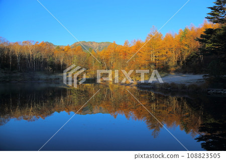 三鈴池的絕景【長野縣南牧村(八岳高原旅館)】 三鈴池的絕景【長野縣南牧村(八岳高原旅館)】 108823505