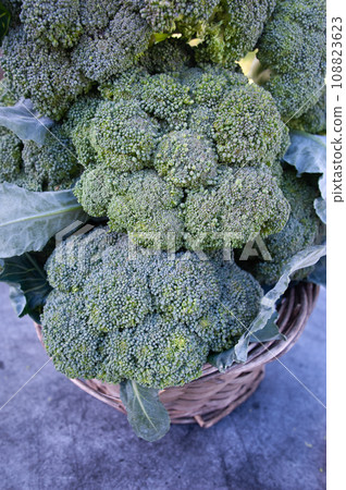 Broccoli in a basket close-up. Broccoli in a basket close-up. 108823623