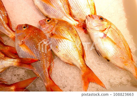 魚店冰上擺放的野生紅鯛魚 108823663