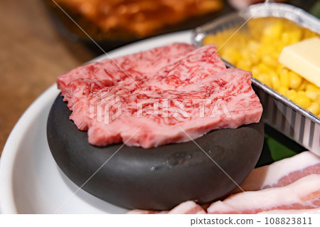 多汁美味的烤肉 108823811