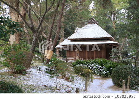 Snow Shukkeien Garden 108823955