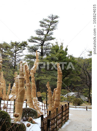 雪縮景園 108824035