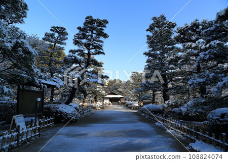 Snow Shukkeien Garden 108824074