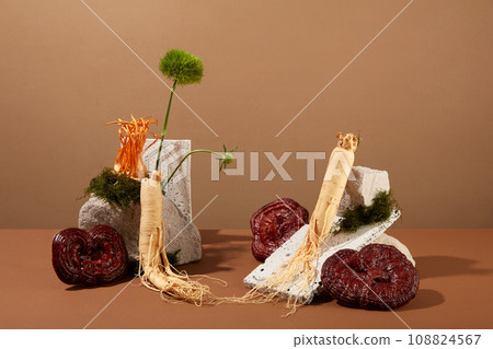 Creative scene for advertising product from traditional medicine ingredient. Ginseng roots and lingzhi mushroom decorated with cordyceps and stones on brown background. Front view Creative scene for advertising product from traditional medicine ingredient. Ginseng roots and lingzhi mushroom decorated with cordyceps and stones on brown background. Front view 108824567