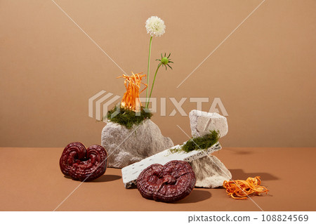 Against the brown background, cordyceps and ganoderma mushroom decorated with stones, moss and flower. Cordyceps and Ganoderma both possess rich nutritional content Against the brown background, cordyceps and ganoderma mushroom decorated with stones, moss and flower. Cordyceps and Ganoderma both possess rich nutritional content 108824569