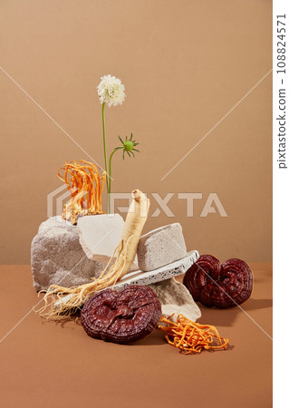Front view of ginseng root, lingzhi mushroom and cordyceps displayed on gray block of bricks on brown background. Minimal scene for advertising product with herbal ingredient 108824571
