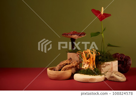 Front view of cordyceps, red ginseng roots and lingzhi mushroom displayed on wooden podiums with green moss and red flower. Dark green background with empty space for design and copy space 108824578