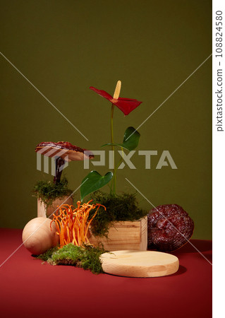 Minimalist empty display product presentation scene with herbal. Cordyceps and lingzhi mushroom displayed on mini natural scene with flower, green moss and wooden podiums Minimalist empty display product presentation scene with herbal. Cordyceps and lingzhi mushroom displayed on mini natural scene with flower, green moss and wooden podiums 108824580