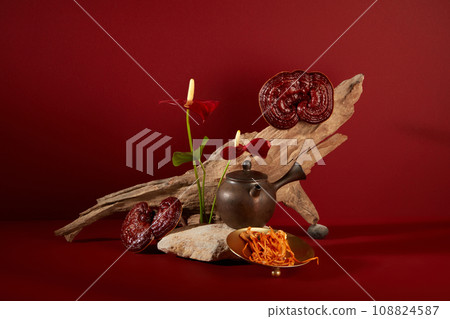 Minimal style, advertising photo for product with herbal ingredients. Cordyceps and lingzhi mushroom decorated with dry twig and flower on red background. Space on stone for display Minimal style, advertising photo for product with herbal ingredients. Cordyceps and lingzhi mushroom decorated with dry twig and flower on red background. Space on stone for display 108824587