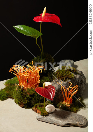 On a black background, green moss and block of stone displayed, fresh cordyceps and red flower become prominent. Empty space for product presentation On a black background, green moss and block of stone displayed, fresh cordyceps and red flower become prominent. Empty space for product presentation 108824600