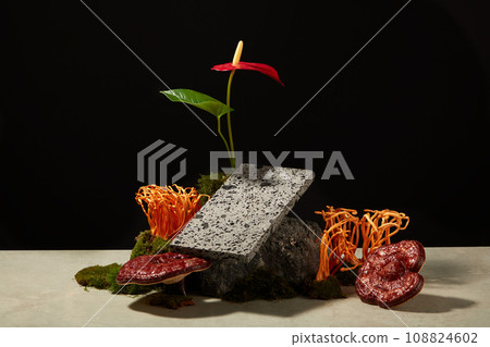 Take advertising photos for product with herbal ingredient. On the black background, ganoderma mushroom and fresh cordyceps decorated with stone, moss, leaves and red flower. Creative concept Take advertising photos for product with herbal ingredient. On the black background, ganoderma mushroom and fresh cordyceps decorated with stone, moss, leaves and red flower. Creative concept 108824602