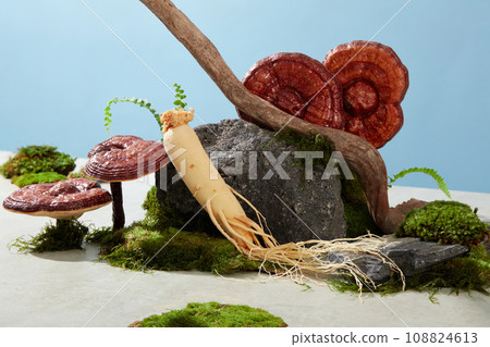 Mini creative scene with decorated herbal ingredients, lingzhi mushrooms and ginseng roots on moss with stone blocks and twigs on a blue background. Empty space for display product mockup Mini creative scene with decorated herbal ingredients, lingzhi mushrooms and ginseng roots on moss with stone blocks and twigs on a blue background. Empty space for display product mockup 108824613