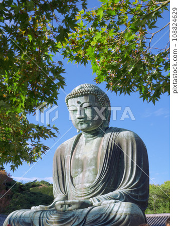 鎌倉大佛 108824629