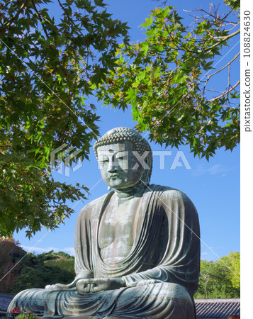 鎌倉大佛 鎌倉大佛 108824630