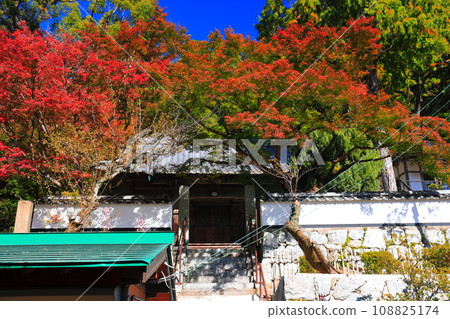[Saga Prefecture] Autumn foliage at Daikozenji's Soke Shrine on a clear day 108825174