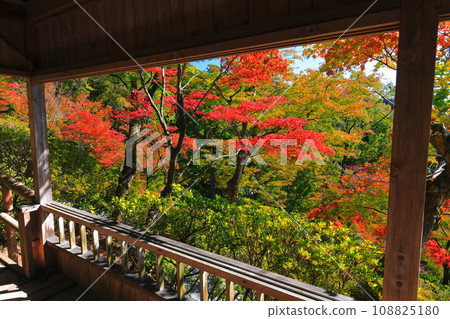 [佐賀縣] 晴天大光禪寺的紅葉 108825180