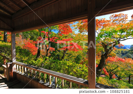 [佐賀縣] 晴天大光禪寺的紅葉 108825181
