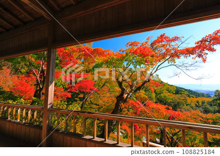 [Saga Prefecture] Autumn leaves at Daikozenji Temple on a clear day 108825184