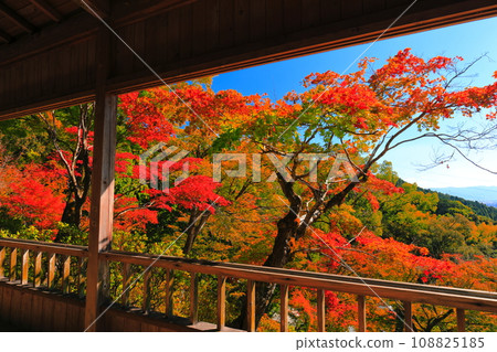 [Saga Prefecture] Autumn leaves at Daikozenji Temple on a clear day 108825185