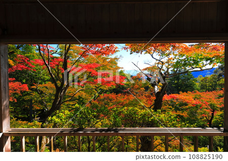 [佐賀縣] 晴天大光禪寺的紅葉 108825190