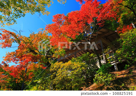 [Saga Prefecture] Autumn leaves at Daikozenji Temple on a clear day 108825191