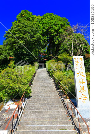 [Saga Prefecture] Stone steps of Daikozenji Temple (Kibou no Saka) on a sunny day 108825196