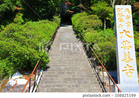 [佐賀縣] 晴天的大光禪寺（希望之坂）的石階 108825199