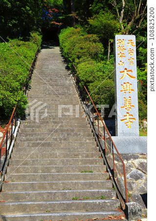 [佐賀縣] 晴天的大光禪寺（希望之坂）的石階 108825200