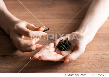 Hand holding Hihatsu Hand holding Hihatsu 108825475