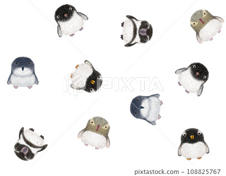 Fluffy bird seamless pattern E②-5 108825767