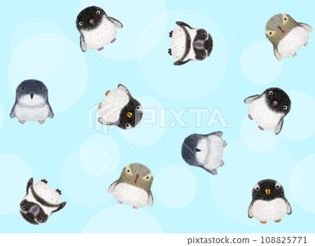 蓬鬆的鳥無縫圖案E②-6 108825771