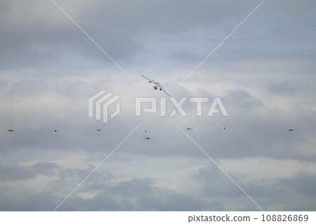 Heterogeneous formation flight 108826869