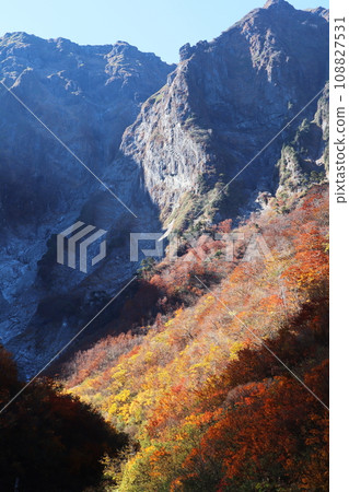 秋葉和倉澤碼頭/谷川岳（立） 108827531