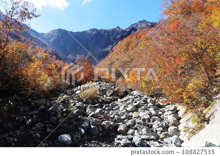 秋葉和谷川山、倉澤 108827535