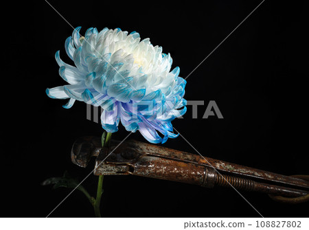 Composition with an old rusty wrench and chrysanthemum flower 108827802