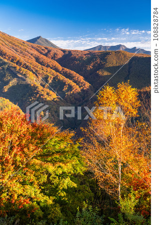 [Tochigi Prefecture] View of Nikko Irohazaka at the peak of autumn leaves and Kurokamidaira at dawn 108828784