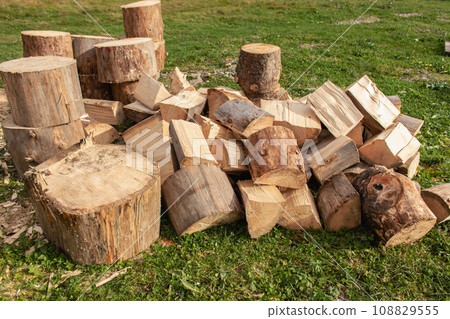 Stack of firewood. Wooden trunk and logs on green grass. Woodpile background. Stacked wood. Wooden texture. Logging storage. Harwood background. Pile of firewood. Preparation for winter. 108829555