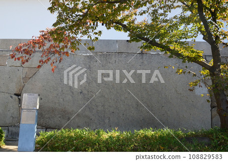 櫻花門的巨石“巨石”（大阪城公園/大阪市中央區） 108829583