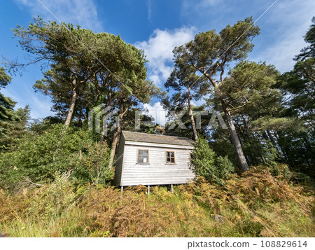 Wooden hut under Scots Pine trees in County Donegal - Ireland Wooden hut under Scots Pine trees in County Donegal - Ireland 108829614
