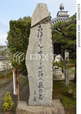 Gengo Otaka's haiku monument "Koburuu wo~" (Kagakuji Temple/Kariya, Ako City, Hyogo Prefecture 1992) Gengo Otaka's haiku monument "Koburuu wo~" (Kagakuji Temple/Kariya, Ako City, Hyogo Prefecture 1992) 108829874