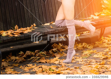 Fashion image of perfect long slim woman legs in autumn park. 108829946