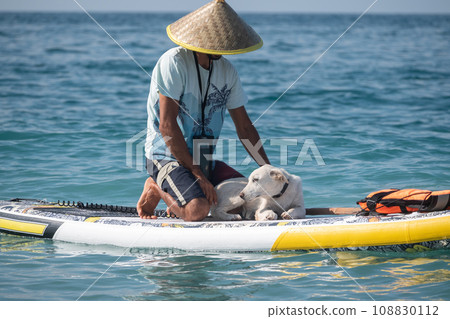 a guy on a sup board with a paddle with a dog stands on the sea in summer a guy on a sup board with a paddle with a dog stands on the sea in summer 108830112