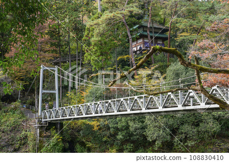 Tokyo Adventure Line Mitake Valley Suspension Bridge and Kanzanji Temple Ome City, Tokyo Tokyo Adventure Line Mitake Valley Suspension Bridge and Kanzanji Temple Ome City, Tokyo 108830410