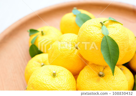Many citrus fruits 108830432