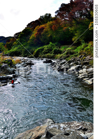 Saitama Prefecture Autumn Nagatoro Valley Scenery of Kotaki no Sho Saitama Prefecture Autumn Nagatoro Valley Scenery of Kotaki no Sho 108830608